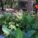 Mutirão orienta moradores sobre convivência com fauna na Mata de Santa Genebra