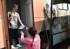 Castramovel Credito Carlos Bassan Arquivo PMC