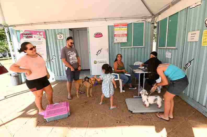 Consultórios Veterinários Móveis funcionam no Bosque dos Jequitibás e Vila Padre Manoel da Nóbrega até 15 de agosto