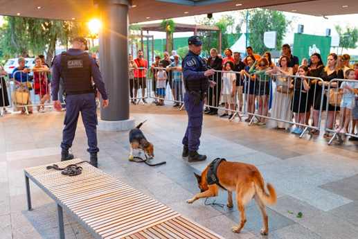 Parque Dom Pedro realiza 8ª edição do Pet no Parque com atrações para pets e seus tutores