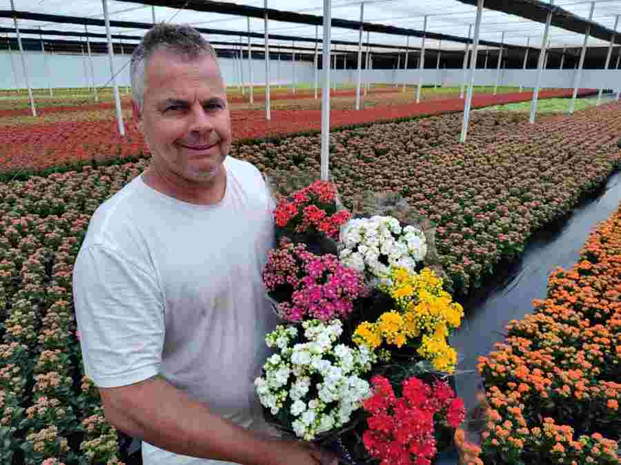 Venda de flores para Finados aumenta 6% e crescem novas formas de homenagens