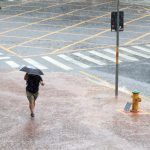 Chuva com rajadas de vento derruba 15 árvores em Campinas