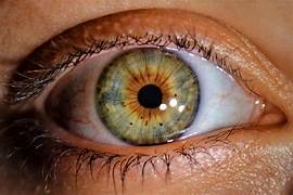 Glaucoma: 8 mitos e verdades que você precisa saber
