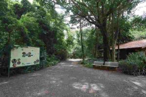 Mata de Santa Genebra Credito Fernanda Sunega Arquivo PMC