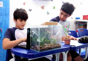 Feira Criacionista em escola de Barão Geraldo une Ciência, Educação e Arte para mostrar ciclos da vida 2 Alunos montando Terrario coletivo para Feira Foto RonconGracaCom