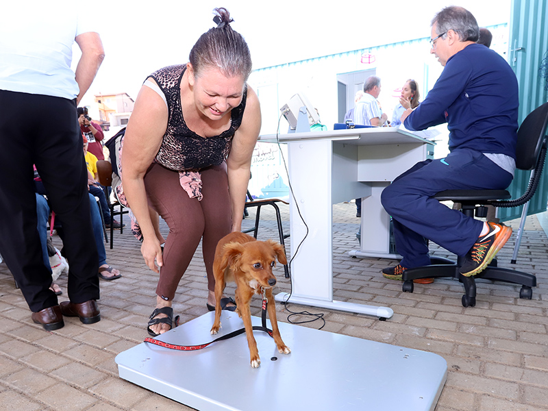 Consultório veterinário gratuito atende na Vila Boa Vista no sábado, 29/11