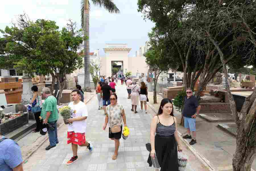 Finados: Campinas terá cemitérios com horário ampliado e operação especial de trânsito