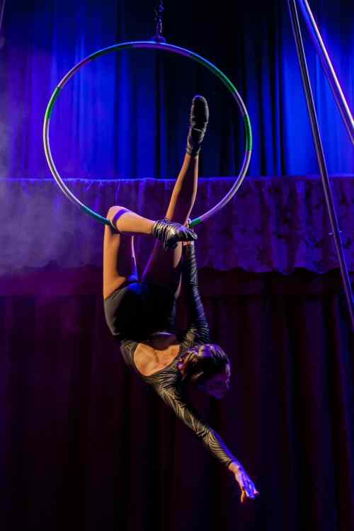 “O Circo de Variedades” chega a Campinas em apresentação gratuita no dia 19 de novembro