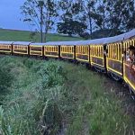 Tour Campinas reabre agenda para passeios gratuitos