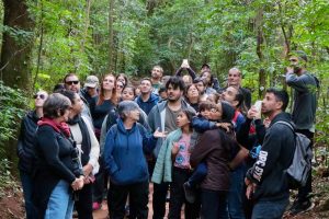 Mata Santa Genebra voluntarios