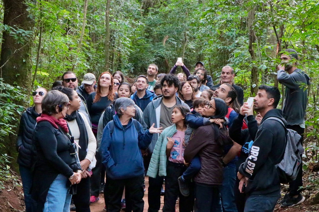 Voluntários contribuem para a conservação da Mata de Santa Genebra