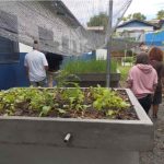 Estudantes criam projeto de biogás e ajudam na economia circular em comunidade de Campinas