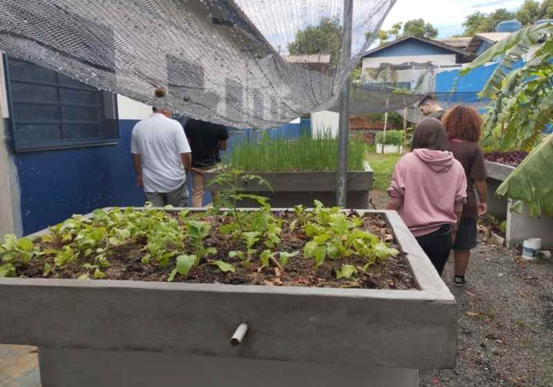 Projeto transforma residuos em energia Divulgacao