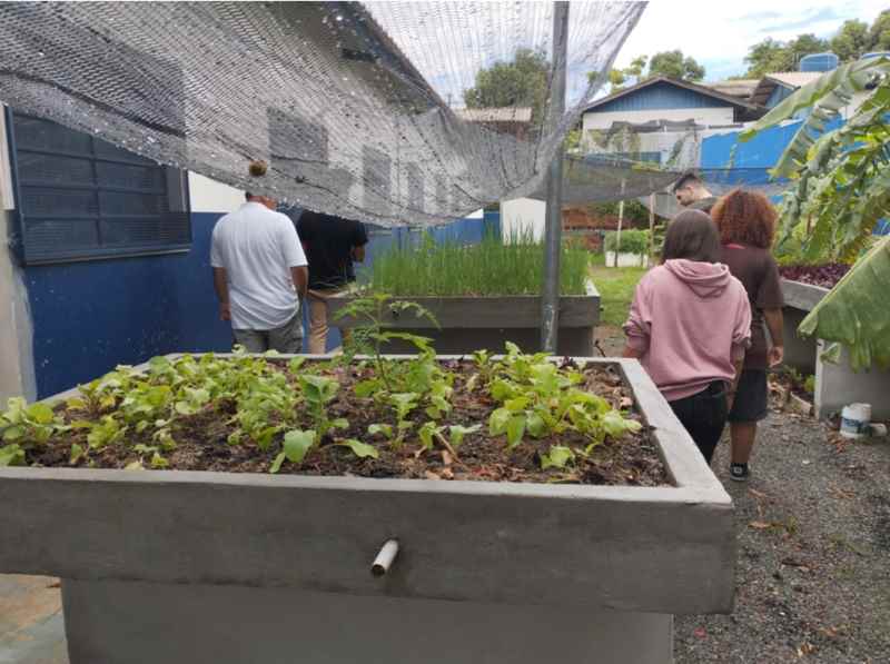 Estudantes criam projeto de biogás e ajudam na economia circular em comunidade de Campinas