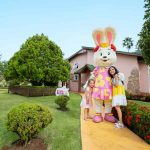 Royal Palm Plaza Resort tem pacotes com programação especial para a Páscoa