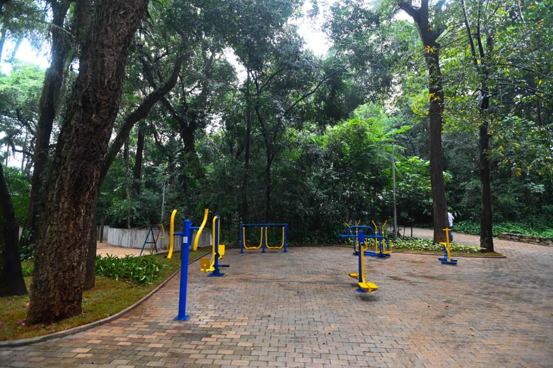 Bosque da Paz Yitzhak Rabin e Bosque dos Alemães estão liberados para o público