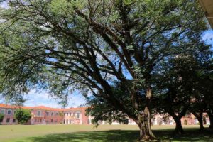 Escola Preparatoria de Cadetes Divulgacao PMC