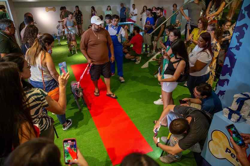 Programacao encerra as 17h com o Desfile Pet Divulgacao