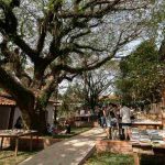 Família Neomarginal participa do Festival Hilstianas em Campinas