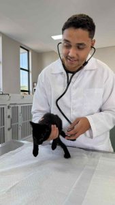 vacina veterinario vertical