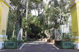 Semeia 2026: Bosque dos Jequitibás sedia círculo reflexivo sobre racismo ambiental 1 Bosque dos Jequitibas Campinas Foto Fernanda Sunega PMC
