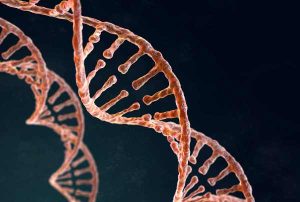 Testagem genetica acelera o diagnostico Divulgacao