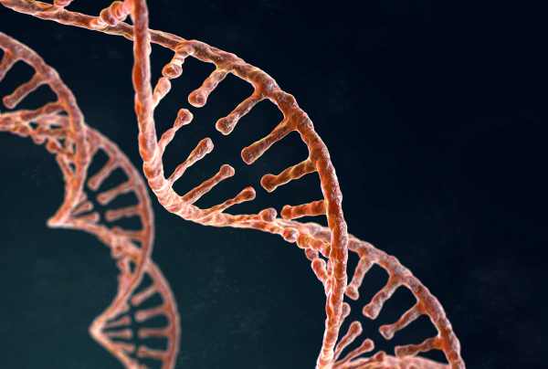 Testagem genetica acelera o diagnostico Divulgacao