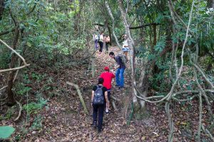 Semana da Serra dos Cocais promove conexão com a natureza 1 Trilha da Serra dos Cacais Foto PEDRO AMATUZZI