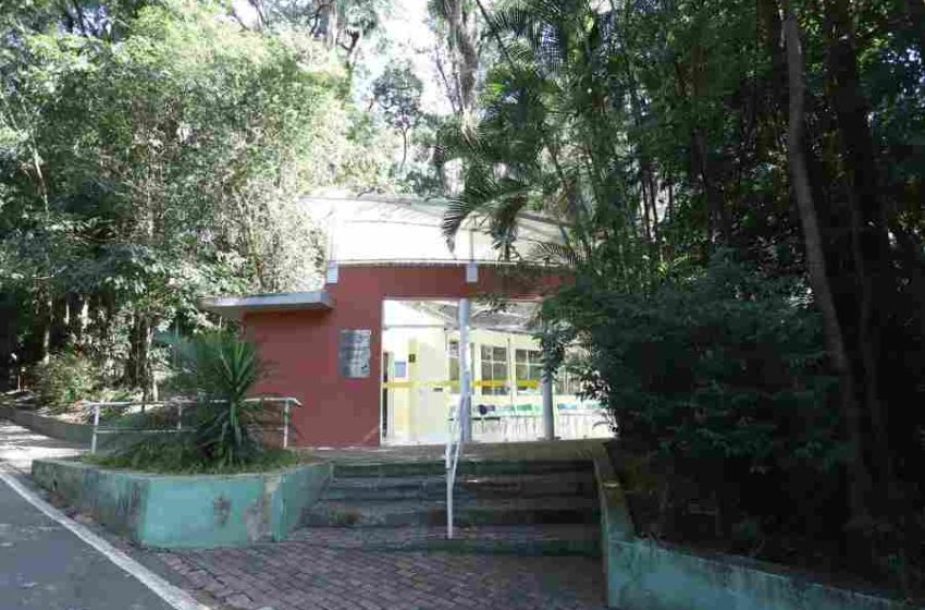 Centro de Educacao Ambiental do Bosque dos Jequitibas Credito Fernanda Sunega