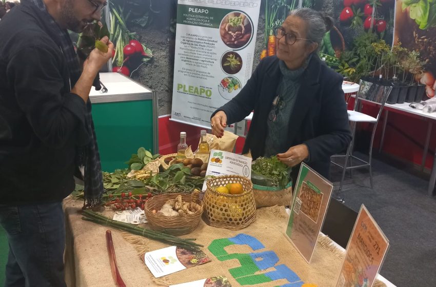Estande da CATI na 19a Bio Brazil Fair
