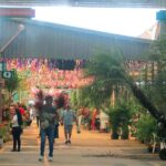 Orquestra de Viola Caipira Monte Mor se apresenta neste sábado no Mercado de Flores da Ceasa Campinas