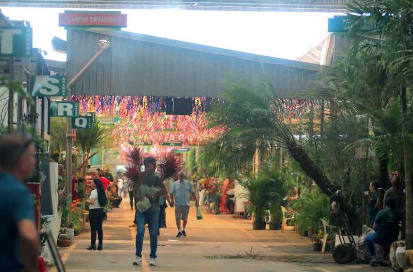 Ceasa Campinas Firmino Piton