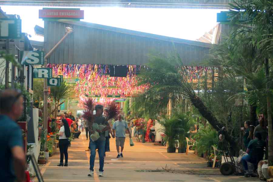 Tour Campinas abre inscrições neste sábado para visita guiada gratuita à Ceasa