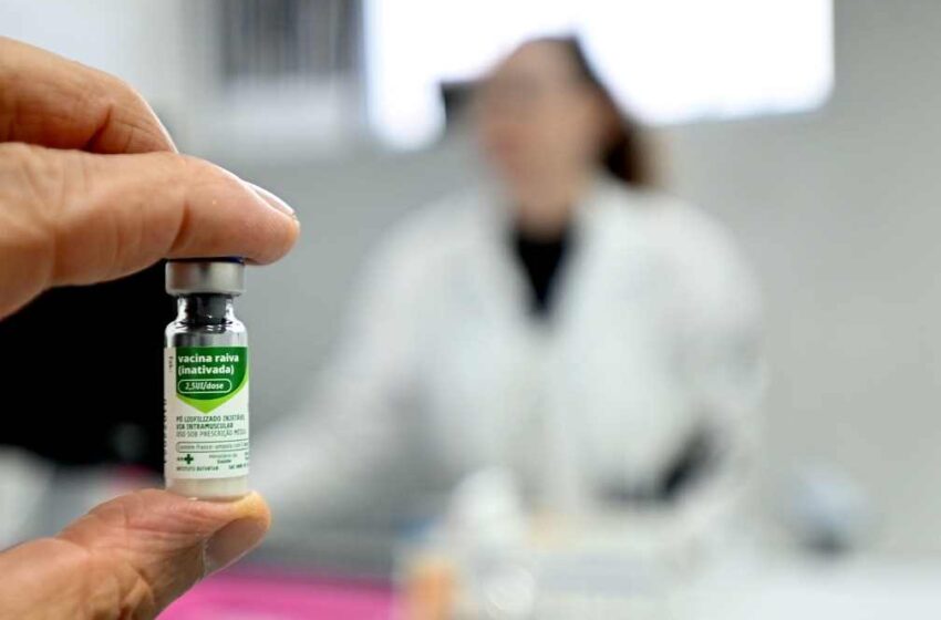 Veterinario que foi arranhado pela gata com raiva recebeu a vacina e iniciou protocolo de tratamento antirrabico Foto Carlos Bassan Arquivo PMC