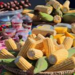 Festival do Milho Verde na Praça Arautos da Paz começa hoje e segue até domingo, 9 de agosto