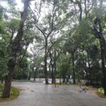 Prefeitura mantém fechados parques das regiões Norte, Noroeste e Sul