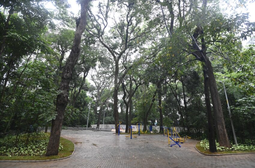Bosque dos Alemaes Rogerio Capela