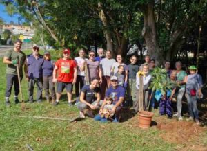 Mutirao Coletivo Ambiental Ribeirao das Pedras no Dia Mundial do Meio Ambiente 2026 Divulgacao