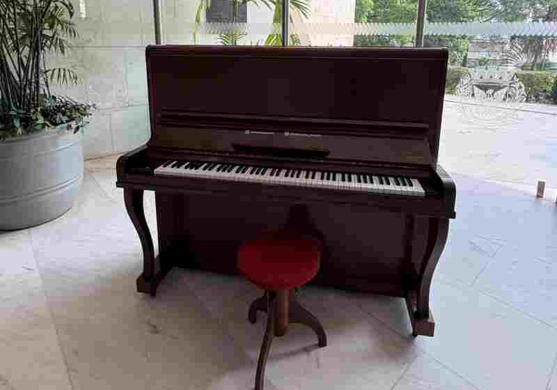 Piano na Prefeitura de Campinas Foto de Murilo Barbosa e1790634564870