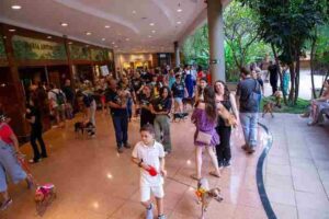 Galleria Shopping promove encontro de Shih Tzus com programação especial 1 Shih Tzus e destaque do dia Divulgacao
